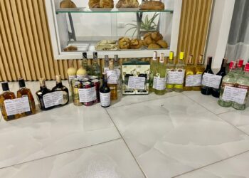 Programa Anticontrabando realizó más de 1.200 registros en el Oriente y Magdalena caldense: hubo decenas de aprehensiones