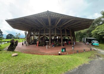 Origen Caldas lleva el talento emprendedor del departamento a la XX Exposición Nacional de Orquídeas en Manizales