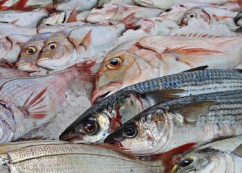 Evite riesgos: Territorial de Salud intensifica controles al pescado y bebidas alcohólicas