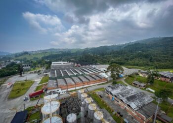 Boletín CalData revela dinámica económica de Caldas y destaca crecimiento del sector industrial y agro