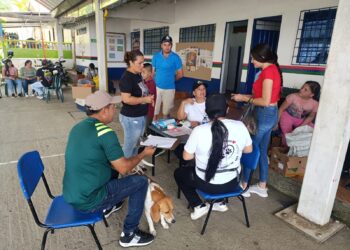 Gobierno de Caldas fortalece el bienestar animal con jornada de esterilización en zona rural de Samaná