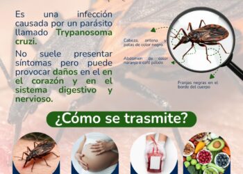 En el Día Mundial de la Enfermedad de Chagas, la Territorial de Salud de Caldas refuerza su prevención y vigilancia