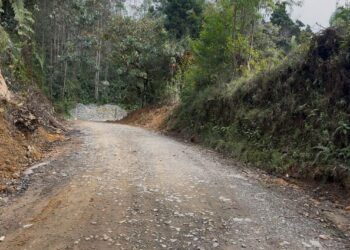 Se adjudicó la interventoría para las Vías del Hermanamiento en Riosucio y Samaná, paso clave para avanzar en el inicio de obras