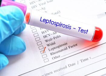 Territorial de Salud de Caldas refuerza acciones para prevenir la leptospirosis, infección que se transmite de animales a humanos