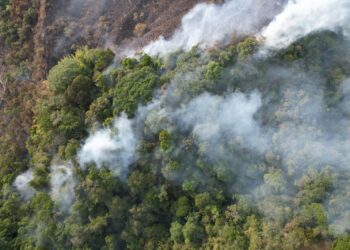 Caldas emite lineamientos de preparación ante posible desarrollo del Fenómeno El Niño en el segundo semestre de 2026