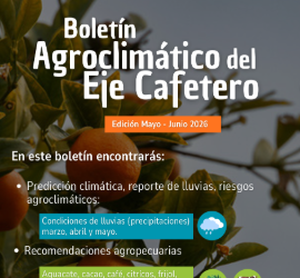 Secretaría de Agricultura de Caldas entrega recomendaciones tras reporte de posibles altas temperaturas informado en el Boletín Agroclimático