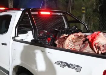 Territorial de Salud de Caldas fortalece vigilancia sanitaria a comercios: en el Oriente se aplicaron cierres de establecimientos y decomisos