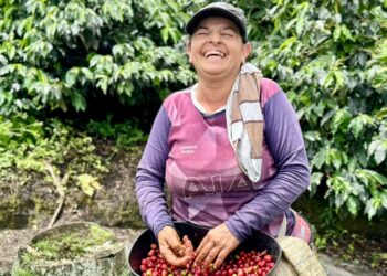 El Paisaje Cultural Cafetero celebrará 15 años como Patrimonio Mundial: Caldas propiciará encuentro regional