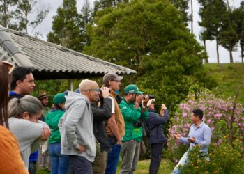 ¡Junio se vive en Caldas! fiestas, ferias y tradiciones tendrán lugar este mes en diversos municipios, impulsando el turismo y la economía