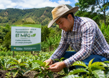 Caldas entrega recomendaciones para proteger el campo ante los posibles efectos del Fenómeno de El Niño