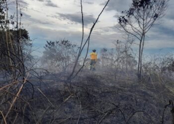 Jefatura de Gestión del Riesgo refuerza el llamado a prevenir incendios forestales en Caldas: van 81 en tres meses