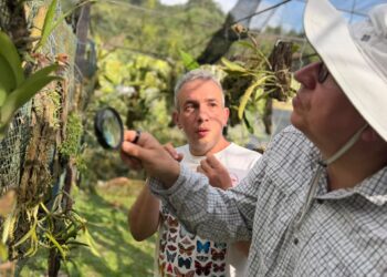 Caldas y México avanzan para hacer realidad una Ruta Internacional de las Orquídeas, una nueva oportunidad de recuperación económica