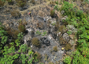 En medio de la atención de la emergencia por el terremoto, Caldas reitera el llamado a no bajar la guardia ante incendios forestales: ya reporta 69