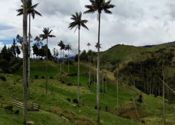 Abierta la convocatoria para empresarios que quieran representar e impulsar el turismo de Caldas en la feria Colombia Travel Expo 2026