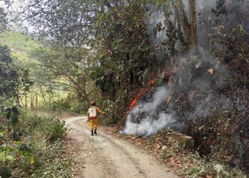Segunda temporada de lluvias y fenómeno de El Niño: estas son las medidas de prevención para los municipios de Caldas